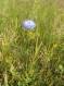 IMG-4614.JPG
