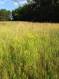 IMG-4627.JPG