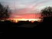 IMG-0557.JPG