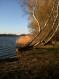 IMG-0678.JPG