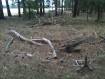 IMG-1400.JPG