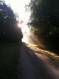 IMG-1663.JPG