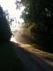 IMG-1667.JPG